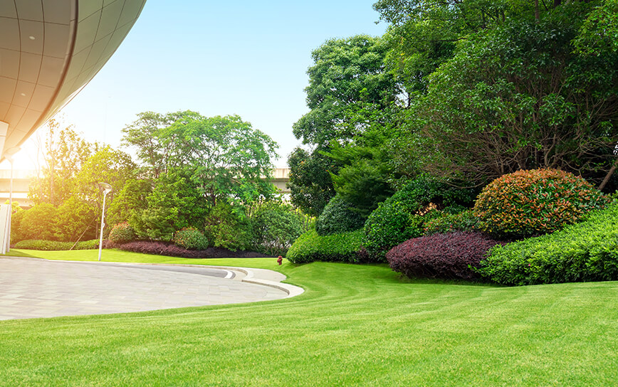 Affordable commercial lawn care maintenance in Wisconsin 