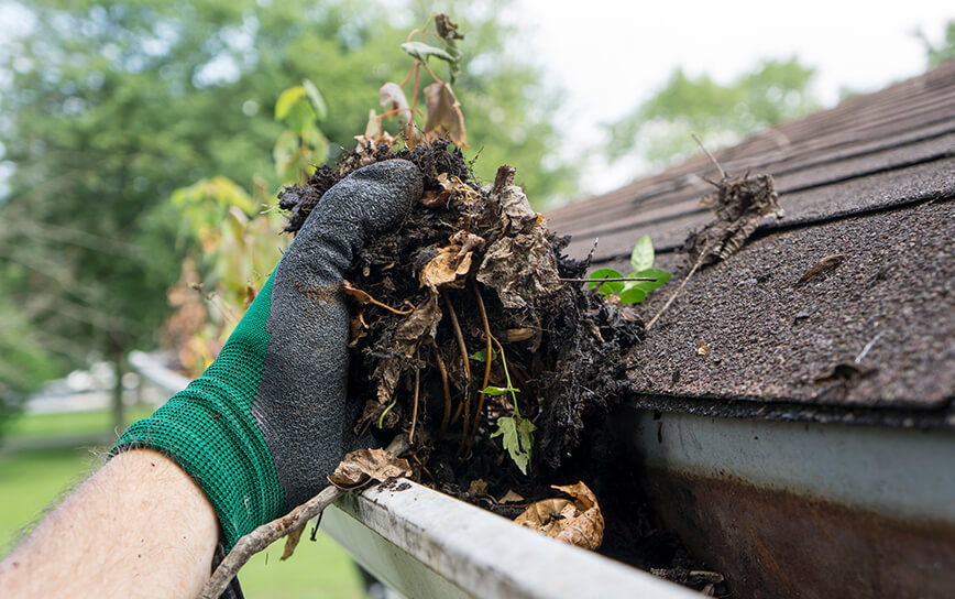 Lawn care maintenance for spring and fall cleanup in Wisconsin