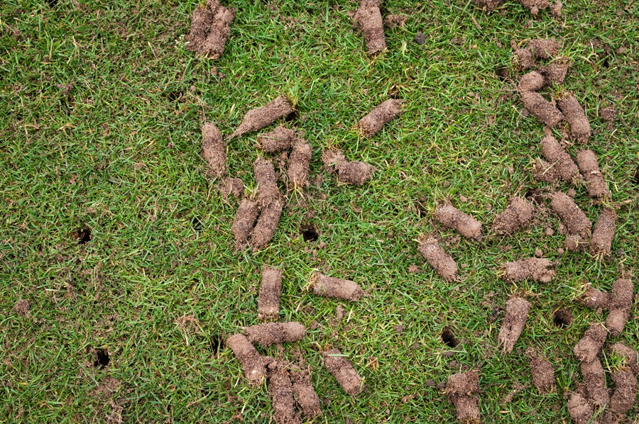 Menomonee Falls Lawn Aeration Menomonee Falls Lawn Aeration