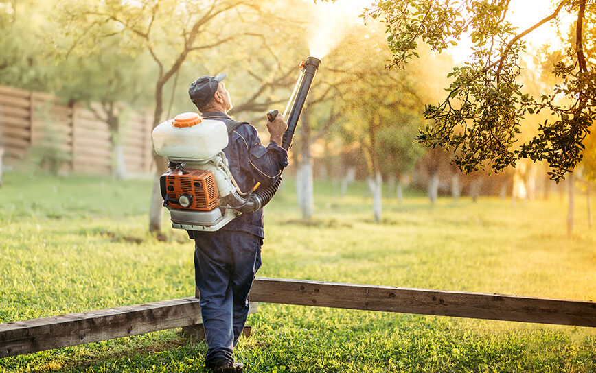 Mosquito spray control services in Wisconsin