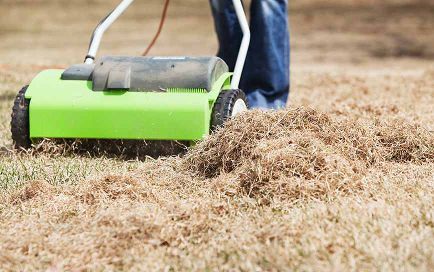 Wisconsin Lawn Care Dethatching and Aeration Services