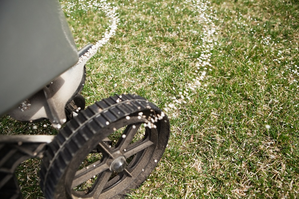 Lawn Fertilization in Menomonee Falls