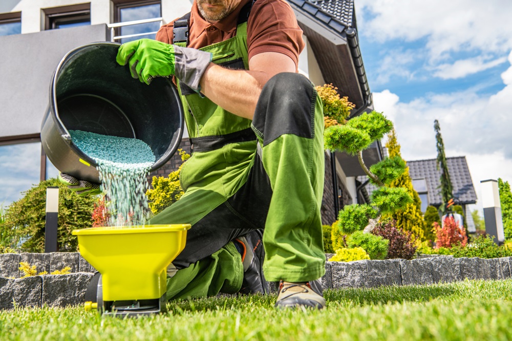 Lawn Fertilization in Hartford