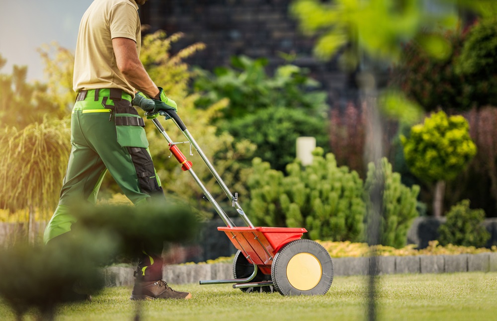 Lawn Fertilization Services in Jackson