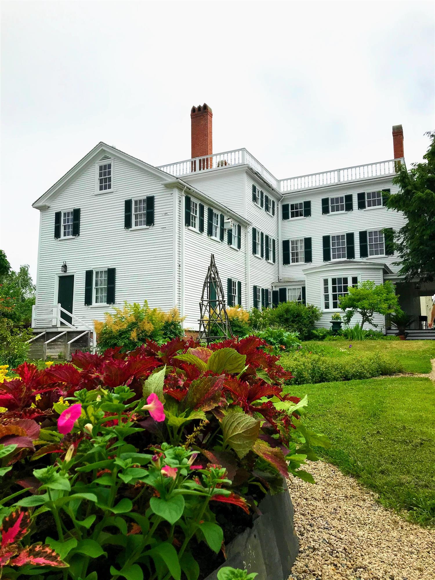 Tree and Shrub installations by landscaper