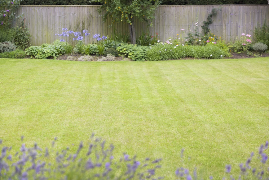 germantown lawn aeration